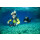 SSI Perfect Buoyancy mit Pool