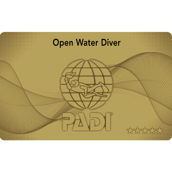OWD Open Water Diver Padi eLearning | Theorie Online